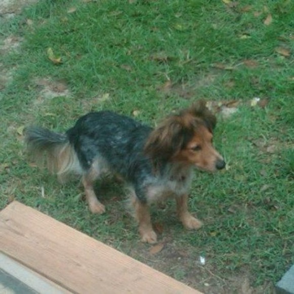 Meet your Posher, Eric - Picture 1 of 1